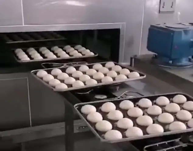 Continuous Oven Case (1)