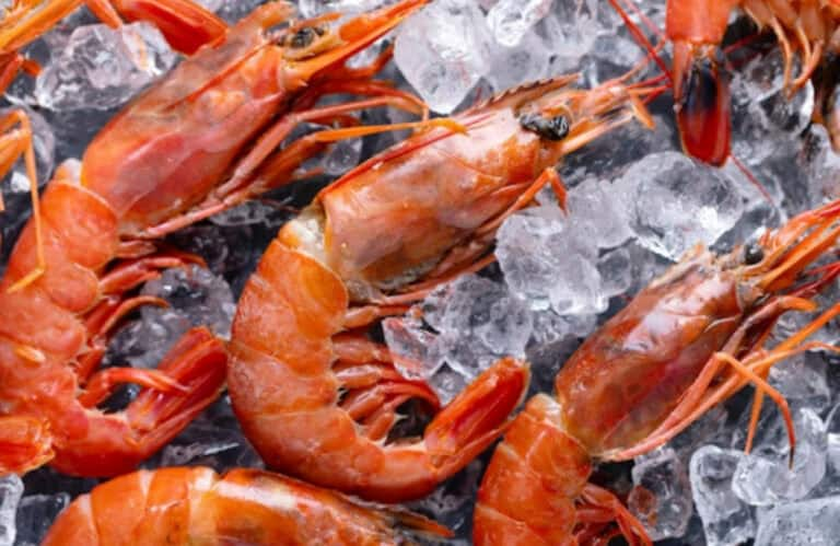Freezing Seafood