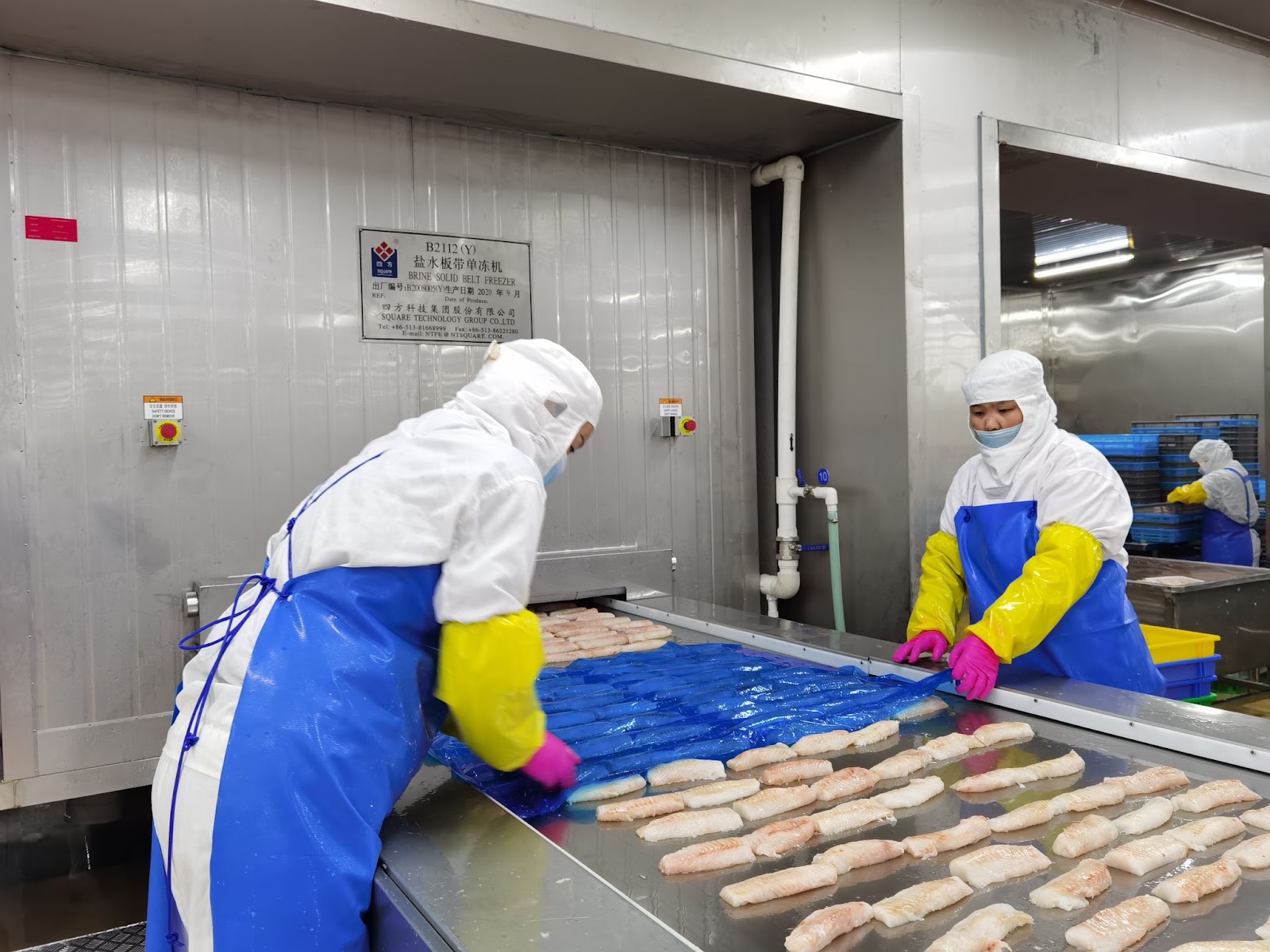 Tunnel Freezer applied in the food industry